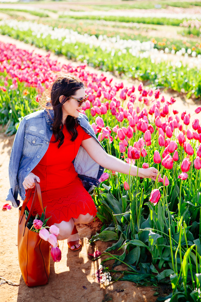 Red embroidered dress by Kendi Everyday