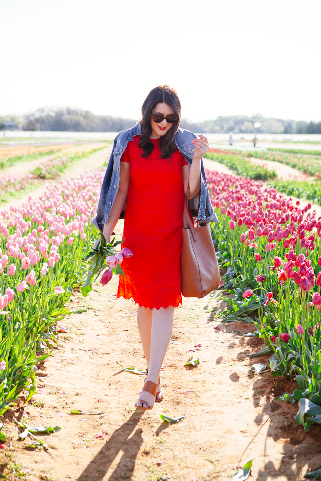 Red embroidered dress by Kendi Everyday