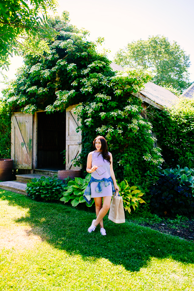 Snug Harbor Farm in Kennebunk, Maine | Kendi Everyday