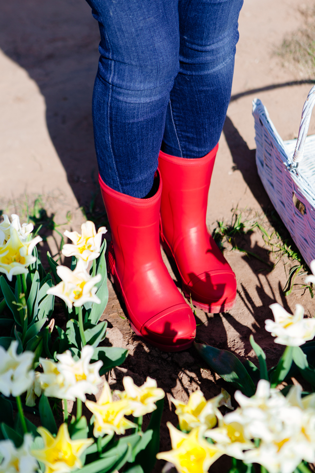 Spring rain boots by Sorel. Texas Tulip Farm.