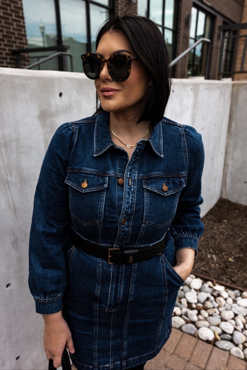 Madewell jean dress new arrivals